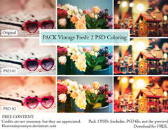 �o����Ƭ��ɫЧ�����SɫЧ���{ɫPSD�ز�