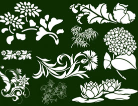 �ɻ����~�ͻ��y��ֲ��Pˢ