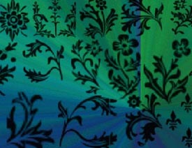 ����Ļ��仨�ܵ�ֲ��Pˢ