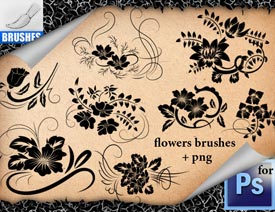 �r�еĻ��仨�y�����Pˢ