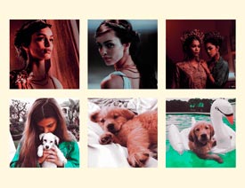 ��Ƭ���Ӱ�ɫˇ�gЧ��PSD�D��