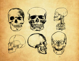 �ֲ������t�^PS�Pˢ