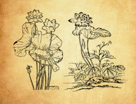 �Ї����y(t��ng)�ɻ��ͺ��~PS�Pˢ