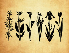 ʸ���L�񻨻ܺ�����PS�Pˢ