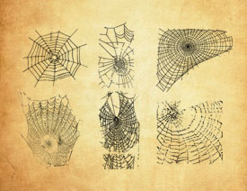 �ֲ���֩��WPS�Pˢ