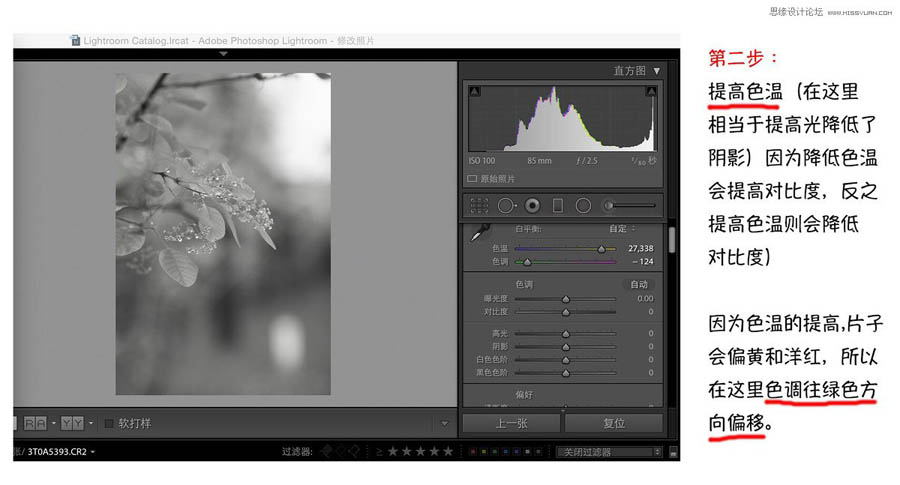 Photoshop�����{��Ψ���L����{ɫˇ�gЧ��