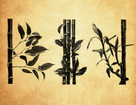 ���������Ӻ���(ji��)PS�Pˢ