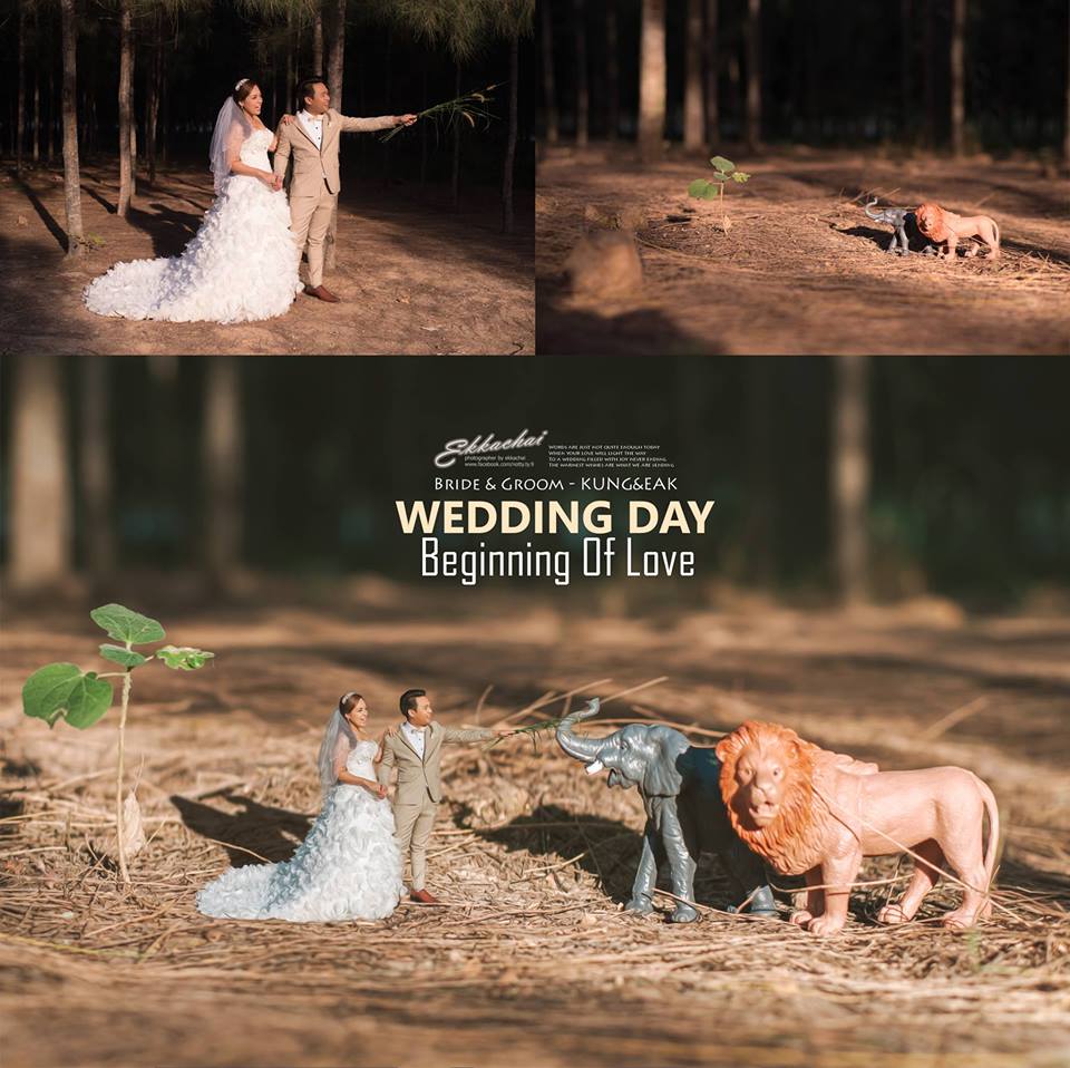 ���S�L(f��ng)���������ڔzӰ��Ʒ���p