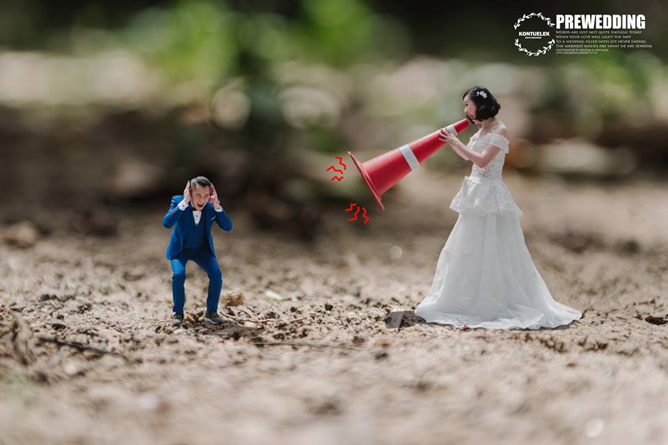 ���S�L(f��ng)���������ڔzӰ��Ʒ���p