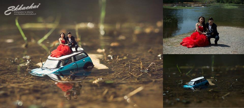 ���S�L(f��ng)���������ڔzӰ��Ʒ���p