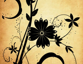 �r��ֲ�ﻨ�y�b�PS�Pˢ