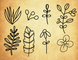 ���L��(ji��n)�s�L(f��ng)����~PS�Pˢ