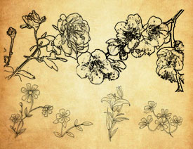 ���軨�仨֦PS�Pˢ