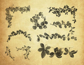 20��ֲ���������ٗlPS�Pˢ