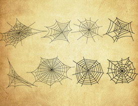 ���L֩��W�Pˢ