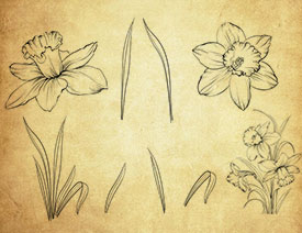 ���L�����~�Ӻͻ���PS�Pˢ